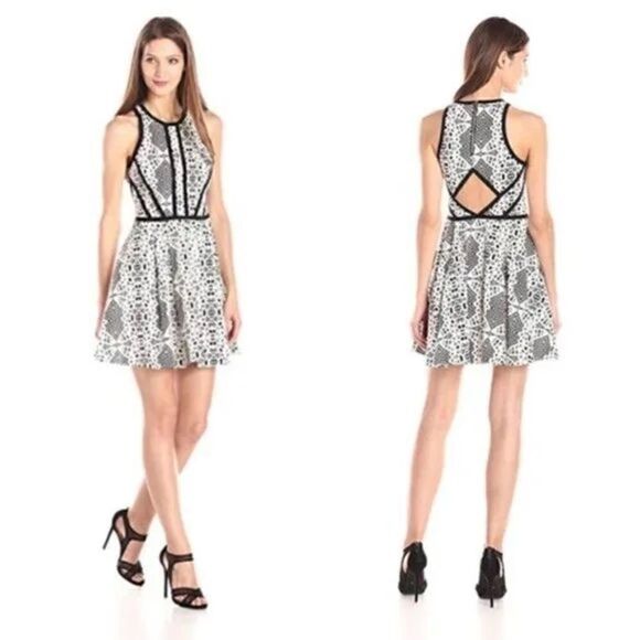 Parker Black and White Skater Dress with Cut Out at the Back US Small - Picture 2 of 5